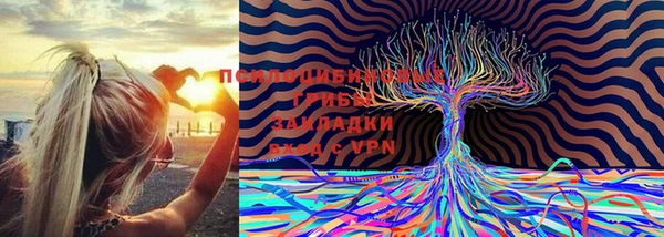a pvp Куровское