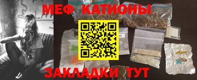 стафф Кингисепп