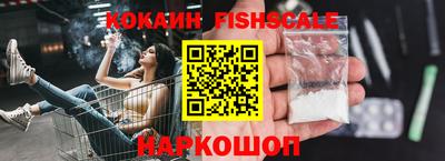 стафф Кингисепп