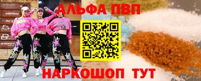 стафф Кингисепп