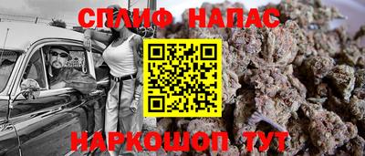 стафф Кингисепп