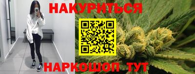 стафф Кингисепп