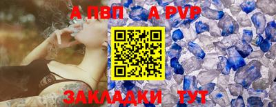 стафф Кингисепп
