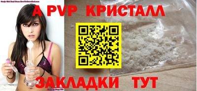 стафф Кингисепп