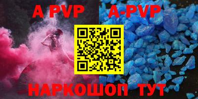 стафф Кингисепп