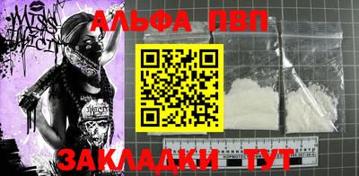 стафф Кингисепп