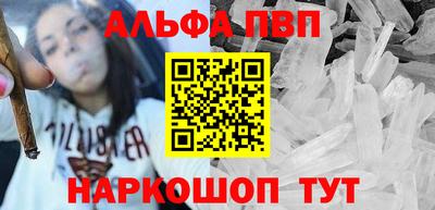 стафф Кингисепп