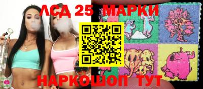 стафф Кингисепп
