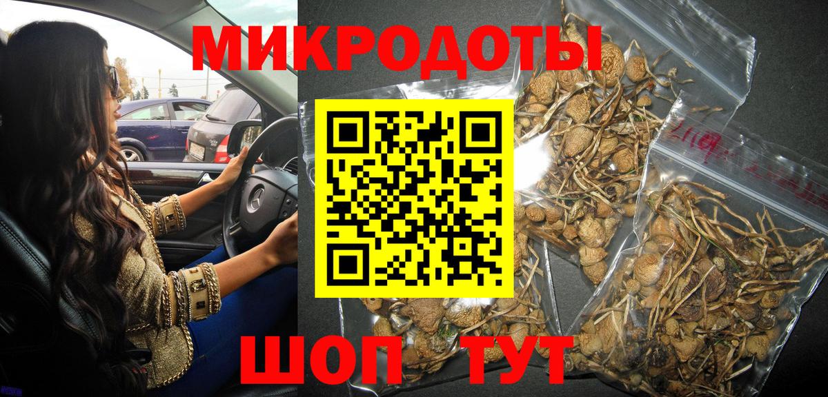 Коммунар  Псилоцибиновые грибы Cubensis  Вход с VPN 