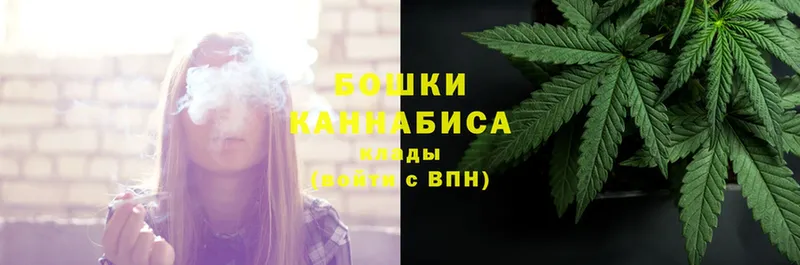 Конопля Bruce Banner  Коммунар 